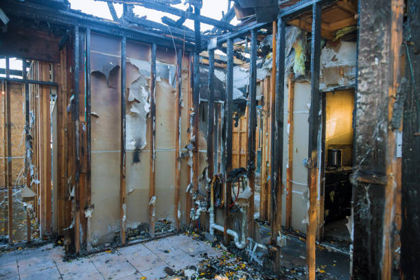 Professional Fire Damage Removal technician working in Locust Valley, NY